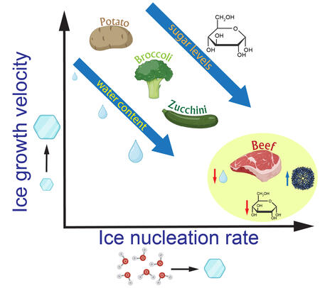 Conclusion de la recherche